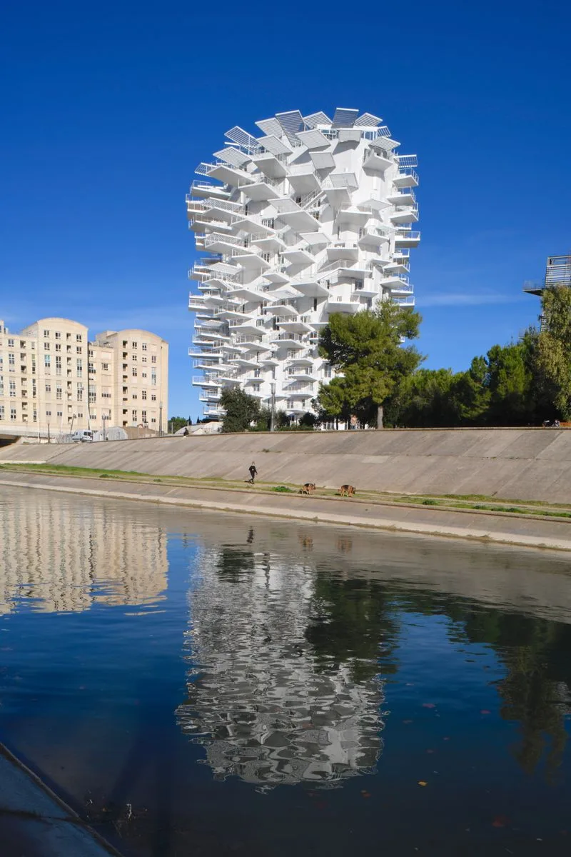 Arbre Blanc, Montpellier — vue 2 — OXO Architectes