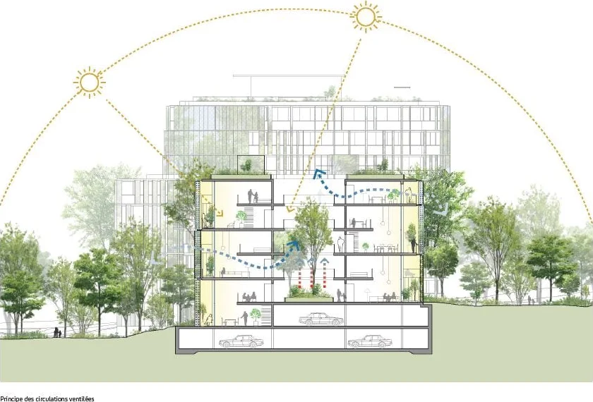 Coupe dessinée d’ART’CHIPEL : la course du soleil au-dessus du bâtiment, les logements traversants sur trois niveaux, un patio planté au centre, un rez-de-chaussée ouvert et des flèches bleues qui figurent le trajet de l’air dans les circulations.